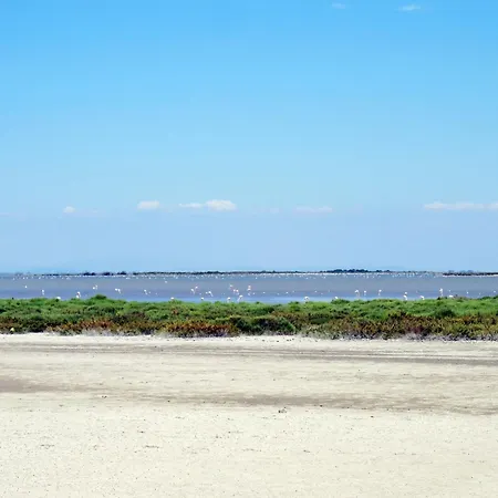 Apartmán Le Lagon Bleu-8 By Interhome Le Grau-du-Roi