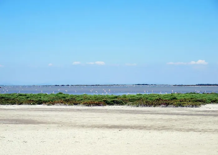 Apartamento Le Lagon Bleu-8 By Interhome Le Grau-du-Roi